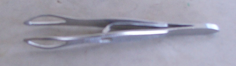 Artery Forceps, Olive Point