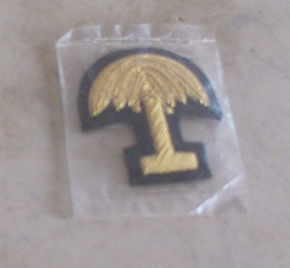 South Carolina Officer Hat Badge, Small