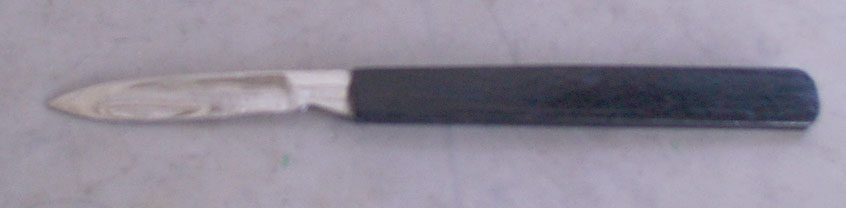 Scalpel with Ebony Handle, Straight, Large - Click Image to Close