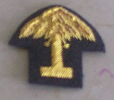 South Carolina Officer Hat Badge, Large